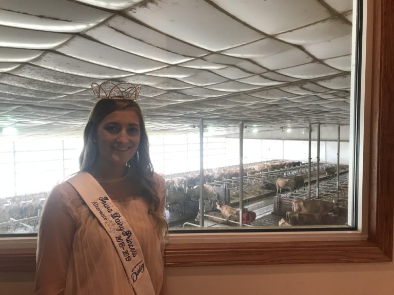 Grace Howe with cattle as Iowa Dairy Princess Grace Howe Dairy Princess Retired Pageant Girl